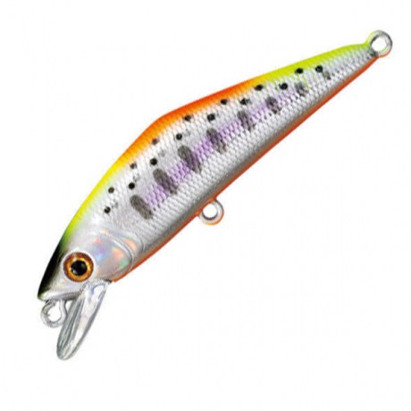 Без имени-5 54.jpg